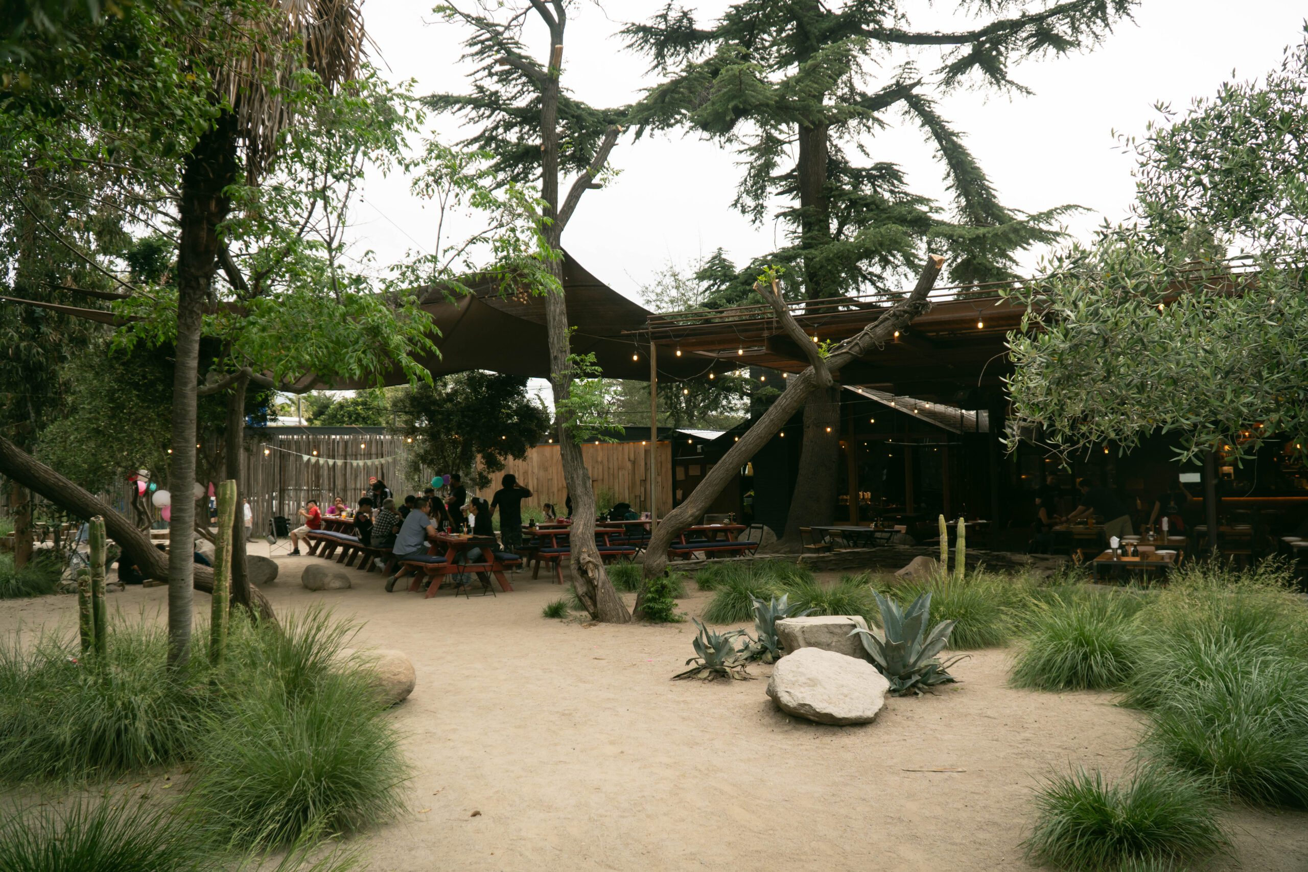 La Dehesa